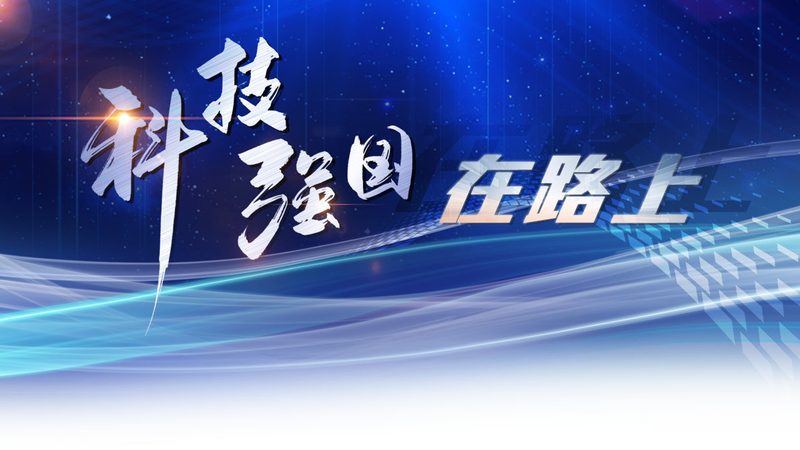 数据服务报价对比表