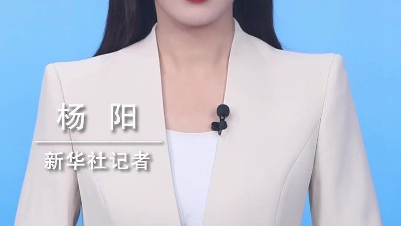 金融大数据咨询公司如何选择？关键指标与趋势分析**